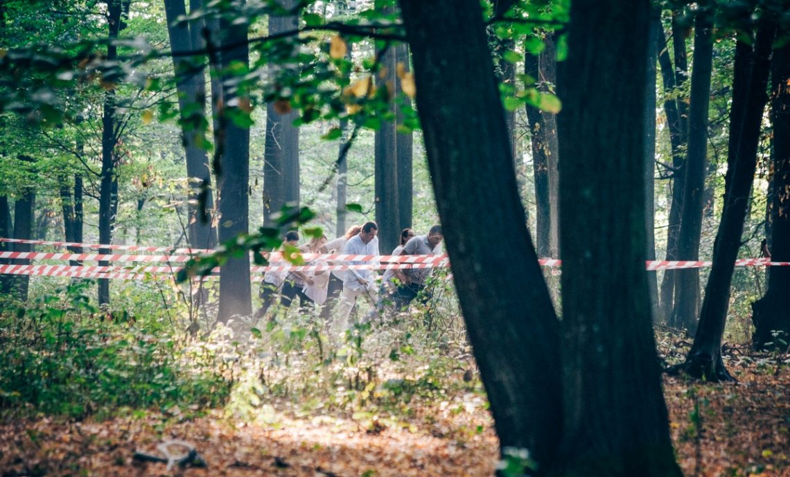 Locatiile TreeHouse - locatii de evenimente companii in aer liber in natura la padure cu piscina