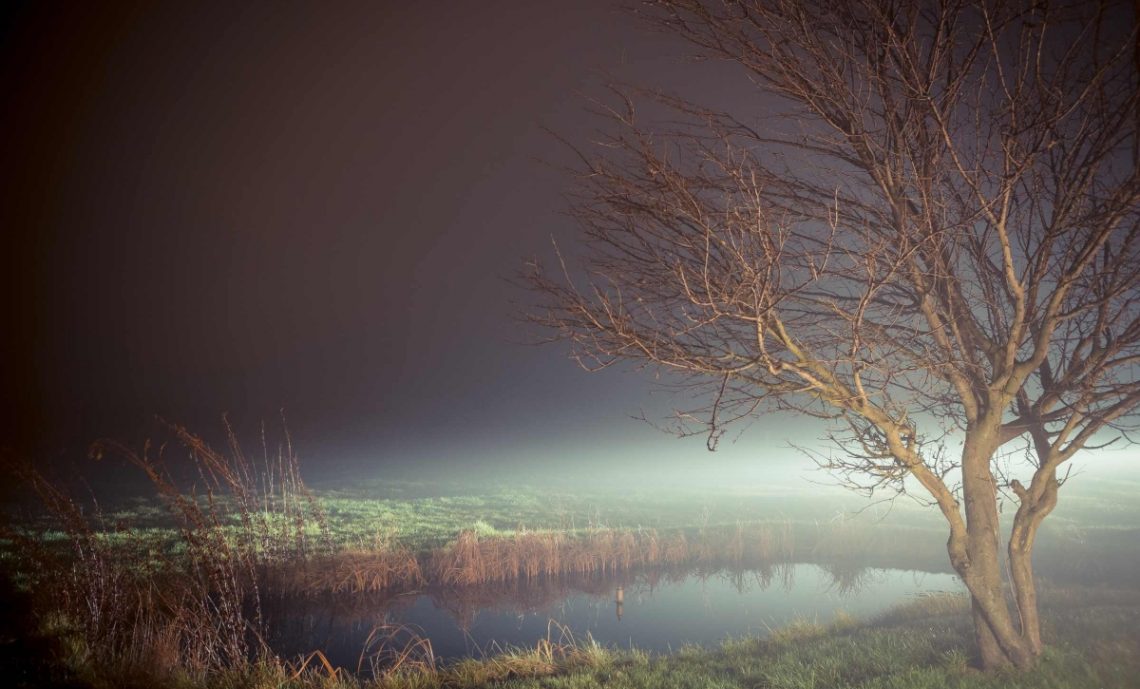 Locatiile TreeHouse - locatii de evenimente companii in aer liber in natura la padure cu piscina