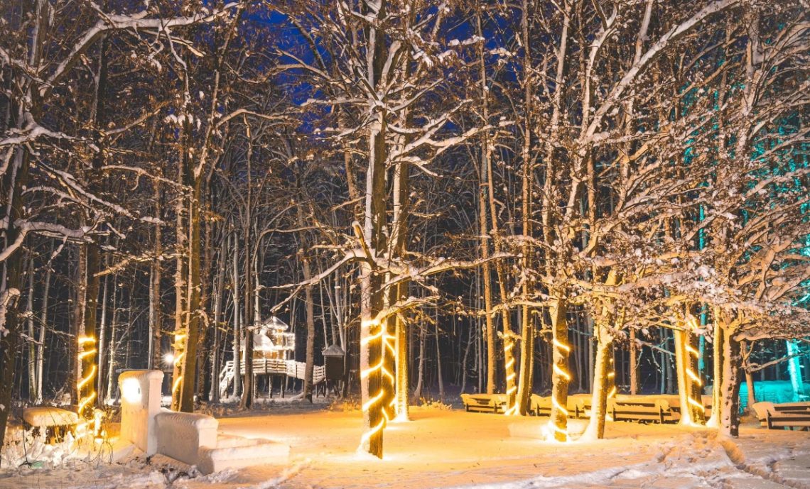 Locatiile TreeHouse - locatii de evenimente companii in aer liber in natura la padure cu piscina