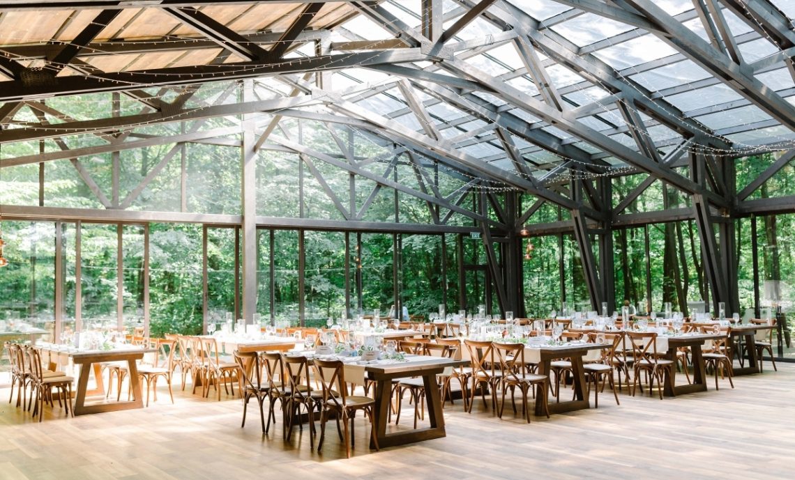 petrecere in aer liber