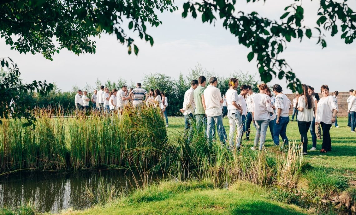 petrecere in aer liber