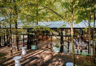 eveniment in mijlocul padurii