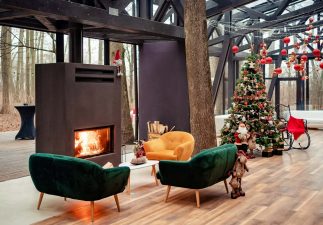 Locatiile TreeHouse - locatii de evenimente companii in aer liber in natura la padure cu piscina