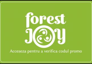 Locatiile TreeHouse - locatii de evenimente companii in aer liber in natura la padure cu piscina