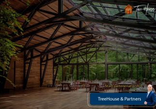 Locatiile TreeHouse - locatii de evenimente companii in aer liber in natura la padure cu piscina