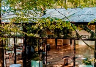 Evenimente companii in padure