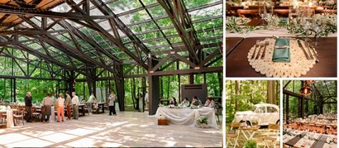 Locatiile TreeHouse - locatii de evenimente companii in aer liber in natura la padure cu piscina