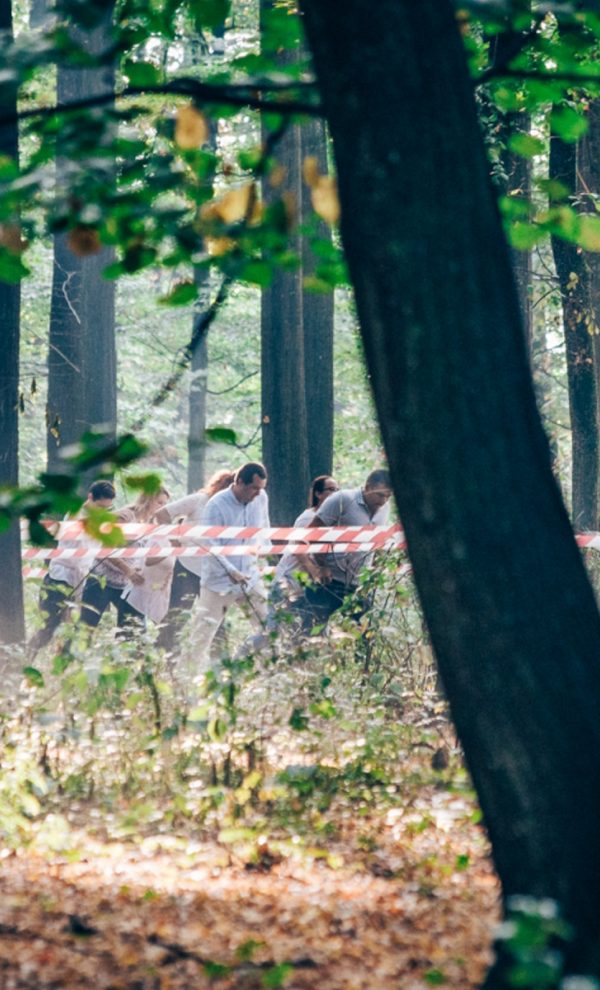 Locatiile TreeHouse - locatii de nunti in aer liber in natura - top locatii de nunta la padure-piscina