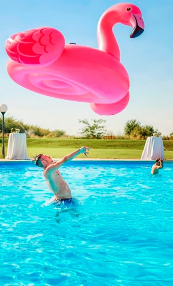 Locatiile TreeHouse - locatii de nunti in aer liber in natura - top locatii de nunta la padure-piscina