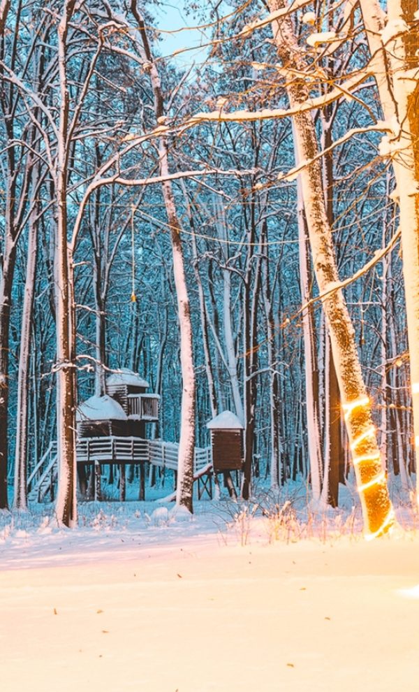 Locatiile TreeHouse - locatii de nunti in aer liber in natura - top locatii de nunta la padure-piscina