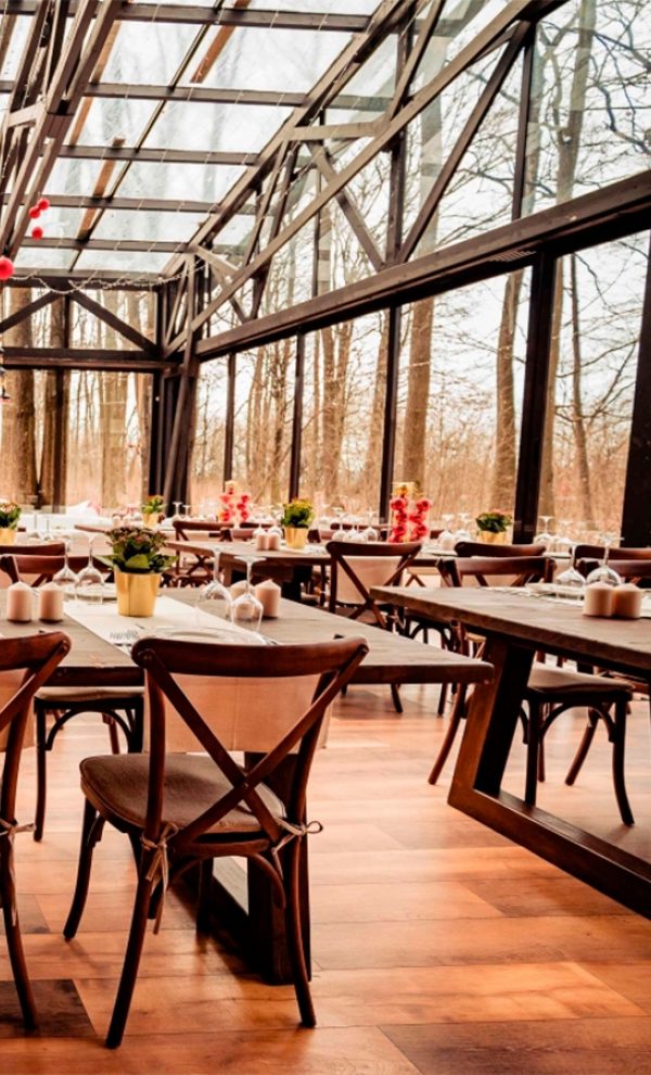 Locatiile TreeHouse - locatii de nunti in aer liber in natura - top locatii de nunta la padure-piscina