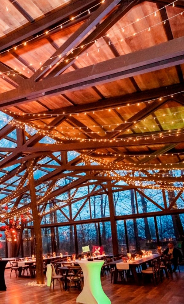 Locatiile TreeHouse - locatii de nunti in aer liber in natura - top locatii de nunta la padure-piscina