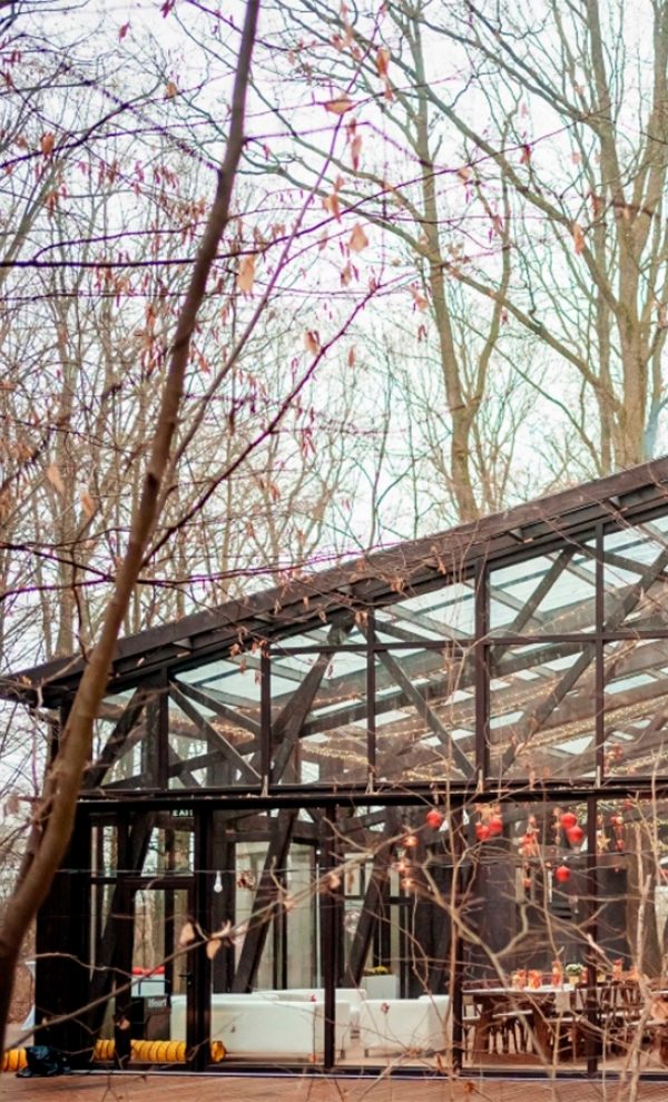 Locatiile TreeHouse - locatii de nunti in aer liber in natura - top locatii de nunta la padure-piscina