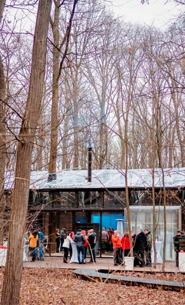 Locatiile TreeHouse - locatii de nunti in aer liber in natura - top locatii de nunta la padure-piscina