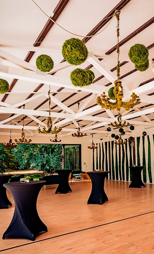 Locatiile TreeHouse - locatii de nunti in aer liber in natura - top locatii de nunta la padure-piscina