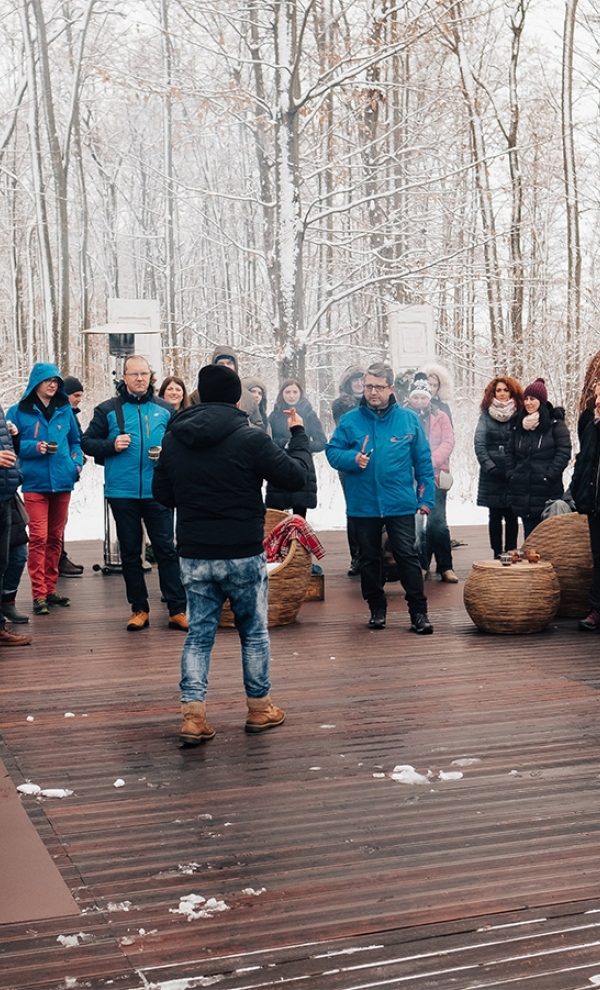 Locatiile TreeHouse - locatii de nunti in aer liber in natura - top locatii de nunta la padure-piscina
