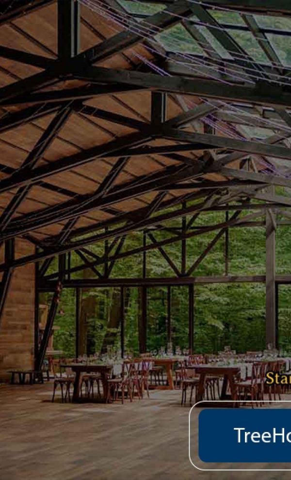 Locatiile TreeHouse - locatii de nunti in aer liber in natura - top locatii de nunta la padure-piscina