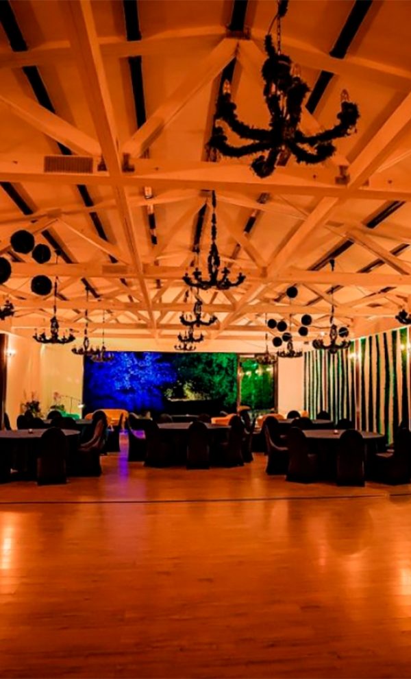 corporate in padure in natura