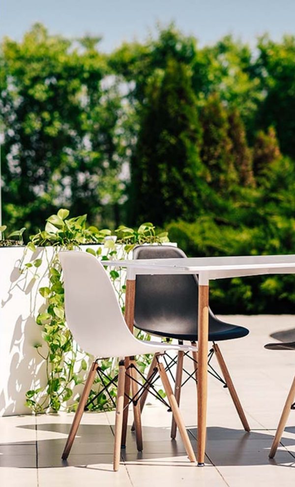 Locatiile TreeHouse - locatii de nunti in aer liber in natura - top locatii de nunta la padure-piscina