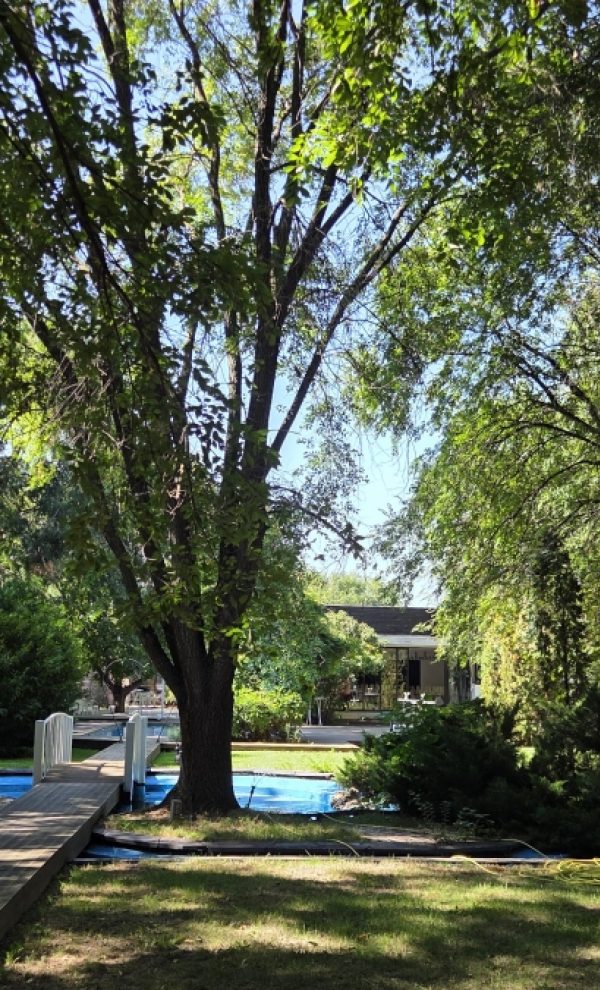 Locatiile TreeHouse - locatii de nunti in aer liber in natura - top locatii de nunta la padure-piscina