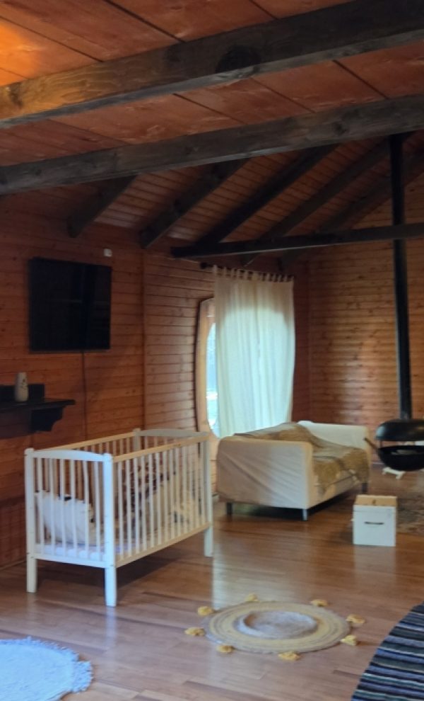 Locatiile TreeHouse - locatii de nunti in aer liber in natura - top locatii de nunta la padure-piscina