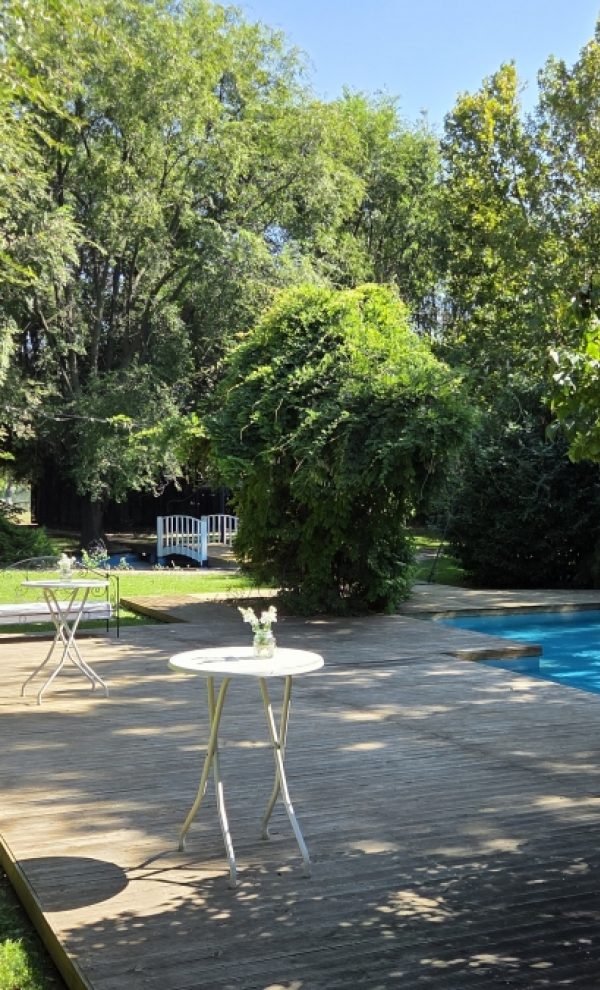 Locatiile TreeHouse - locatii de nunti in aer liber in natura - top locatii de nunta la padure-piscina