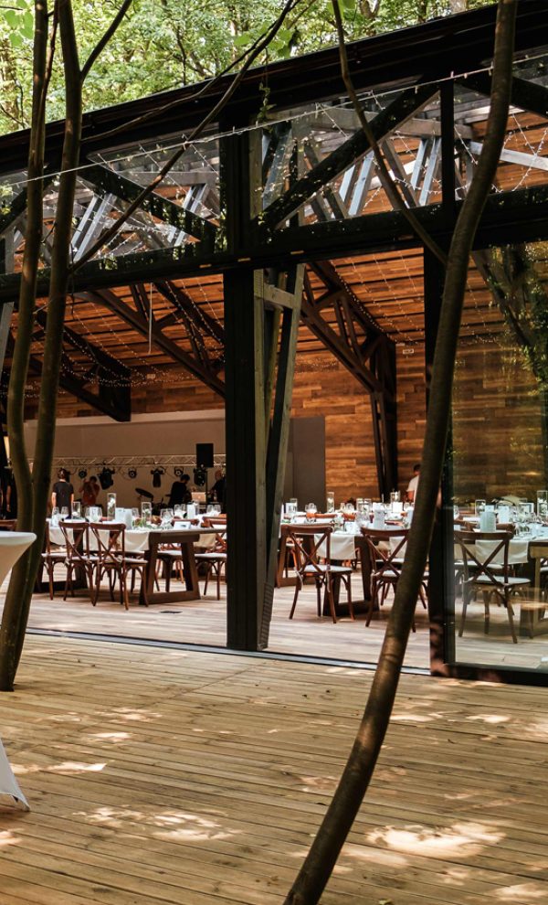 TreeHouse In the Woods locatie de evenimente in mijlocul padurii evenimente corporate 