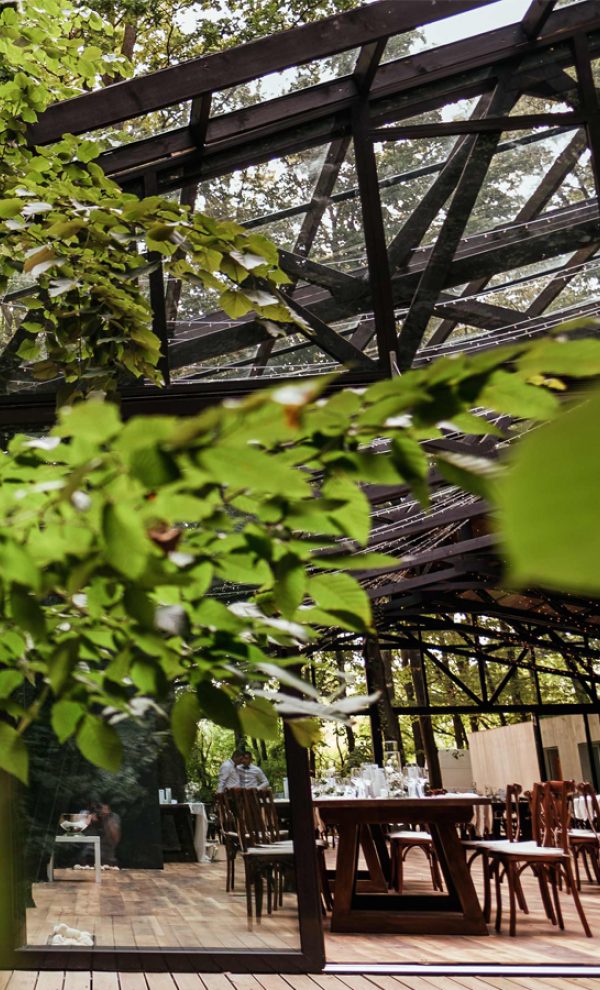 TreeHouse In the Woods locatie de evenimente in mijlocul padurii evenimente corporate 