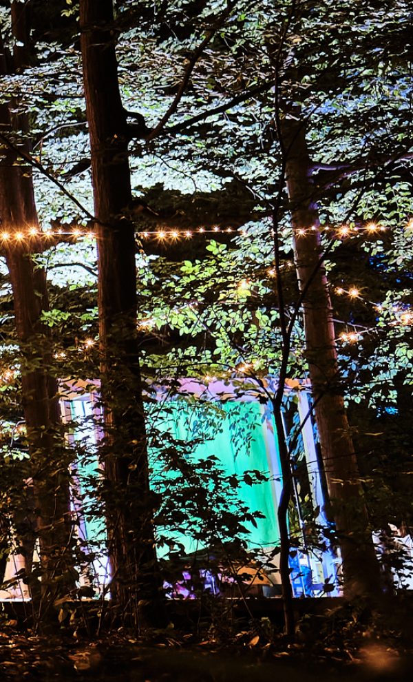 TreeHouse In the Woods locatie de evenimente in mijlocul padurii evenimente corporate 