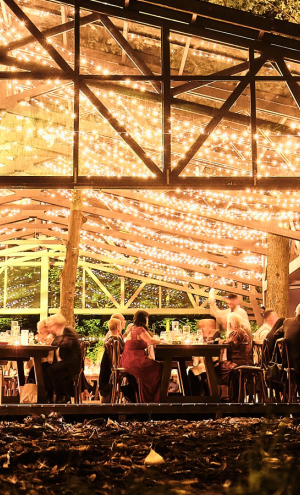 TreeHouse In the Woods locatie de evenimente in mijlocul padurii evenimente corporate 