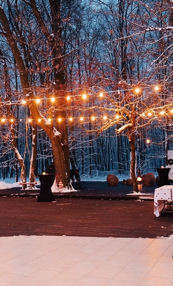 TreeHouse In the Woods locatie de evenimente in mijlocul padurii evenimente corporate 