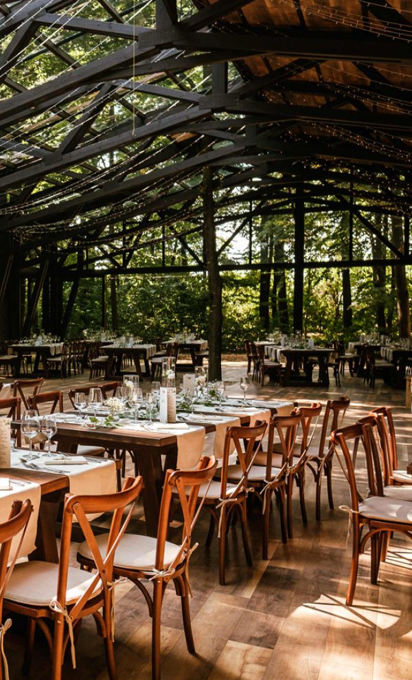 TreeHouse In the Woods locatie de evenimente in mijlocul padurii evenimente corporate 