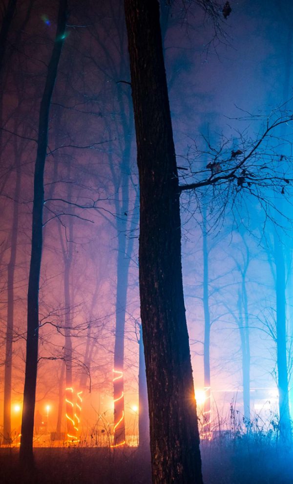 Locatiile TreeHouse - locatii de nunti in aer liber in natura - top locatii de nunta la padure-piscina