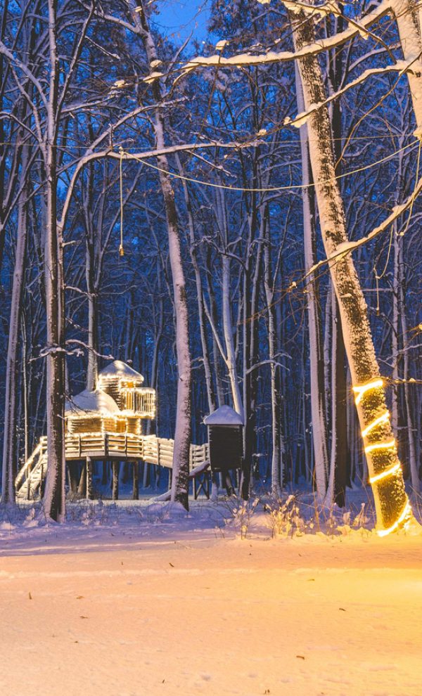 Locatiile TreeHouse - locatii de nunti in aer liber in natura - top locatii de nunta la padure-piscina