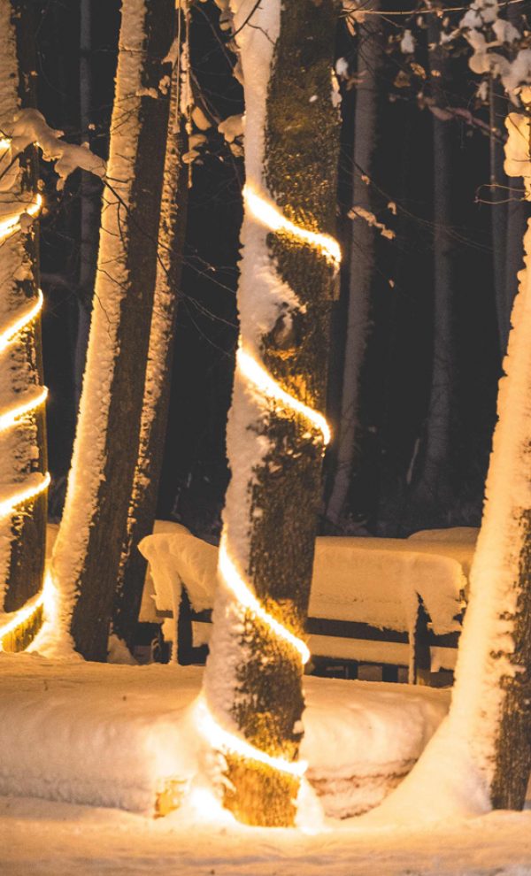Locatiile TreeHouse - locatii de nunti in aer liber in natura - top locatii de nunta la padure-piscina