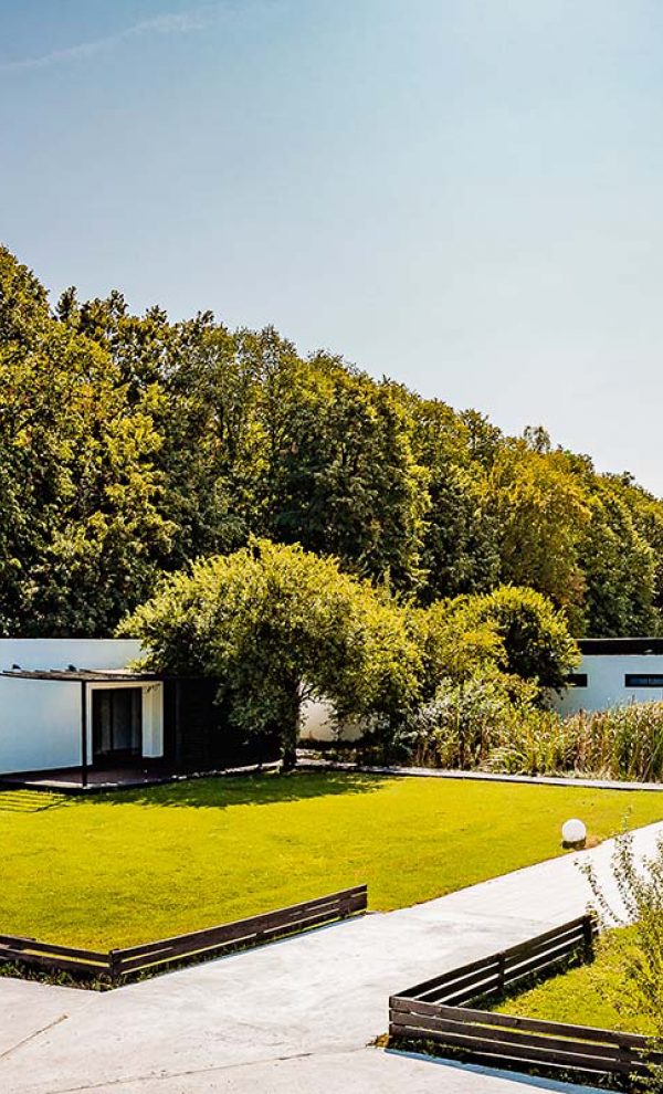 Locatiile TreeHouse - locatii de nunti in aer liber in natura - top locatii de nunta la padure-piscina