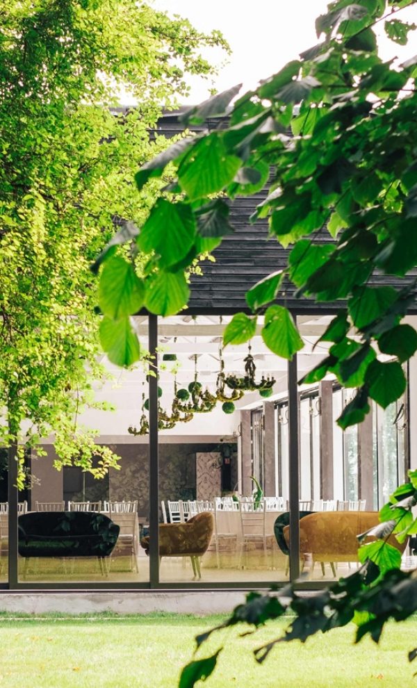 Locatiile TreeHouse - locatii de nunti in aer liber in natura - top locatii de nunta la padure-piscina