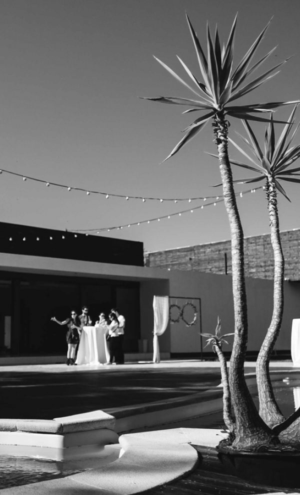 Locatiile TreeHouse - locatii de nunti in aer liber in natura - top locatii de nunta la padure-piscina