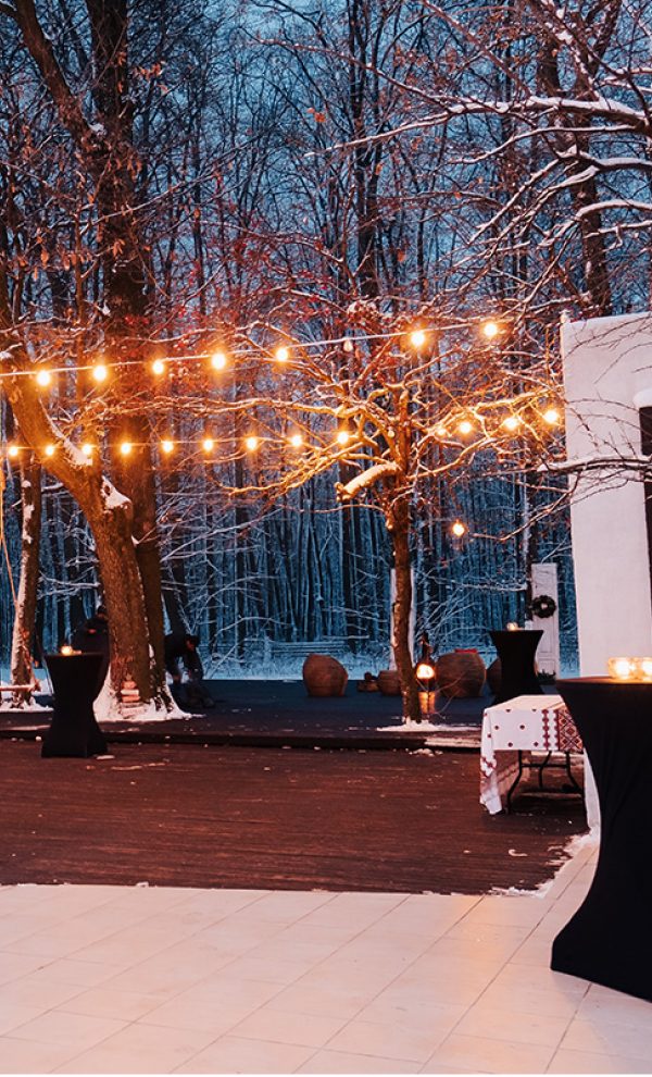 Locatiile TreeHouse - locatii de nunti in aer liber in natura - top locatii de nunta la padure-piscina