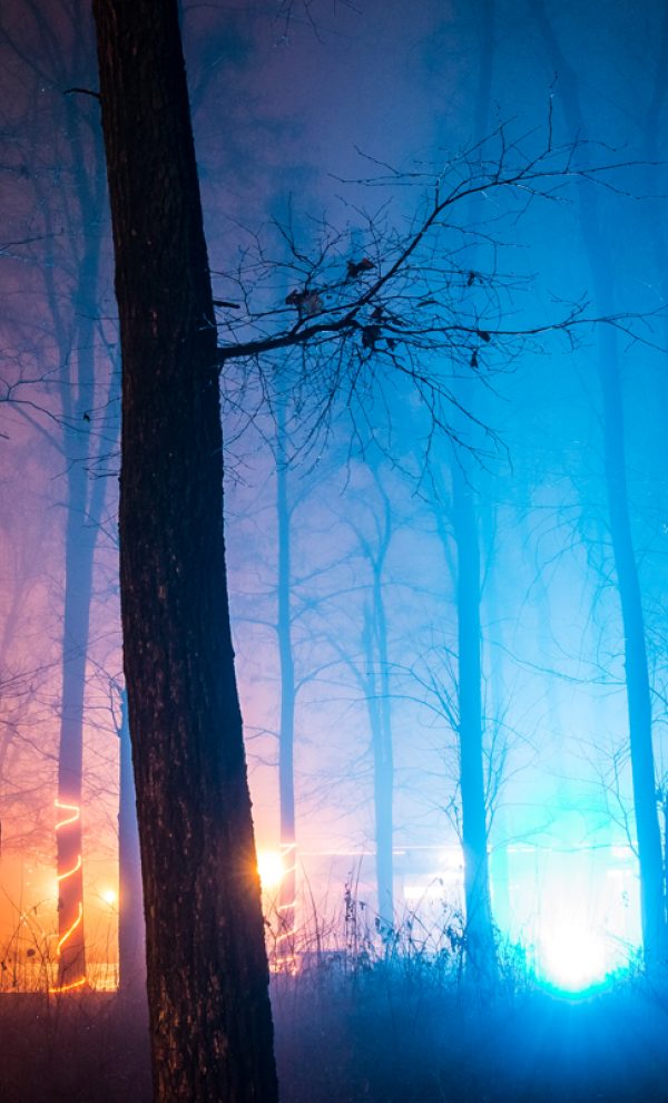 Locatiile TreeHouse - locatii de nunti in aer liber in natura - top locatii de nunta la padure-piscina