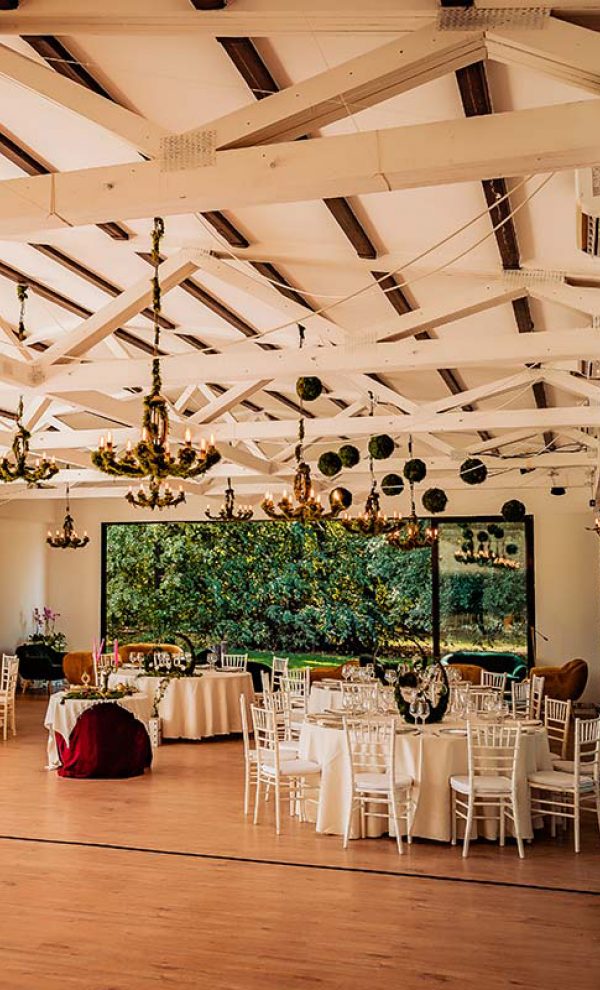 Locatiile TreeHouse - locatii de nunti in aer liber in natura - top locatii de nunta la padure-piscina