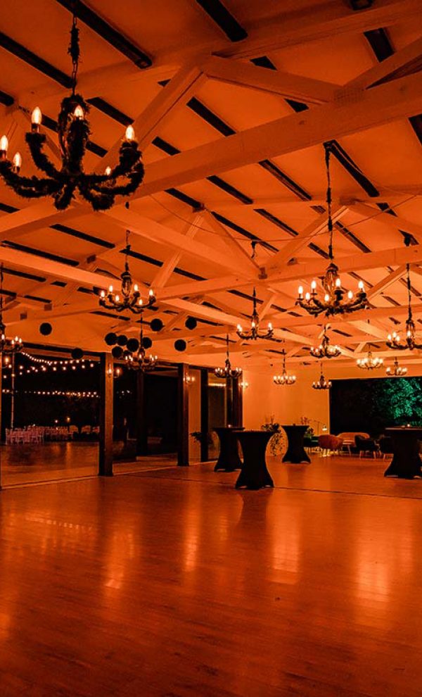 Locatiile TreeHouse - locatii de nunti in aer liber in natura - top locatii de nunta la padure-piscina