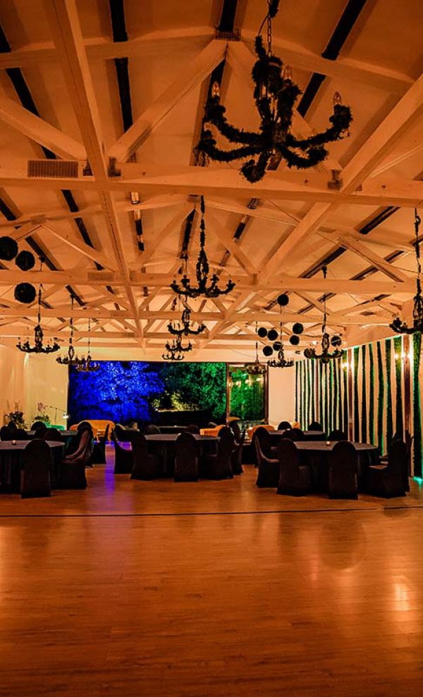 Locatiile TreeHouse - locatii de nunti in aer liber in natura - top locatii de nunta la padure-piscina