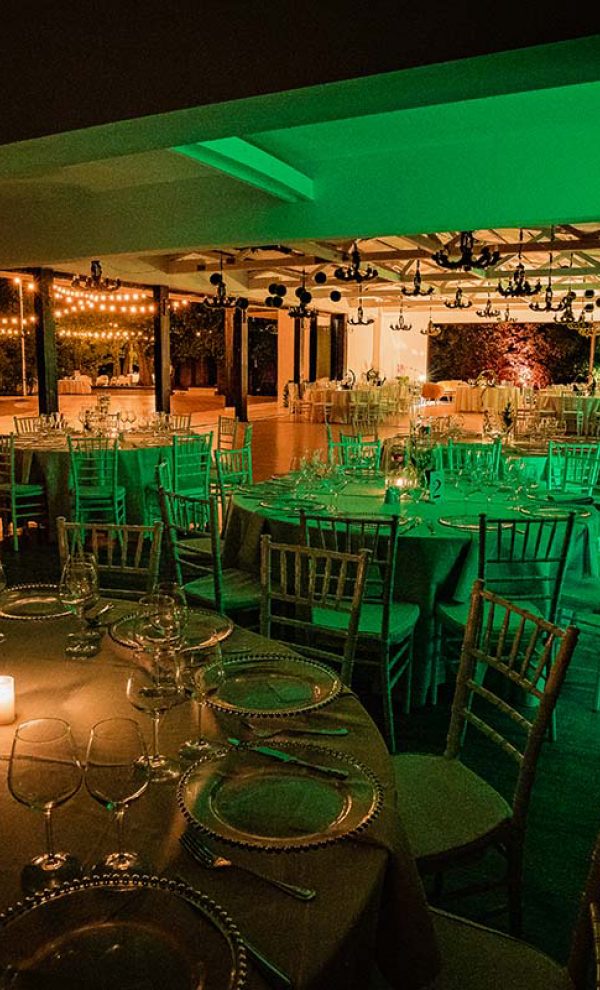 Locatiile TreeHouse - locatii de nunti in aer liber in natura - top locatii de nunta la padure-piscina