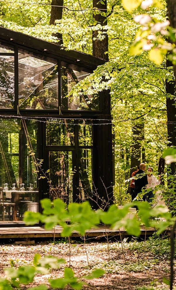 petrecere in aer liber