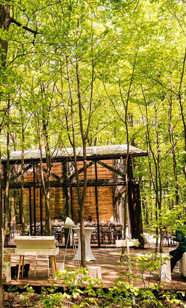 petrecere in aer liber