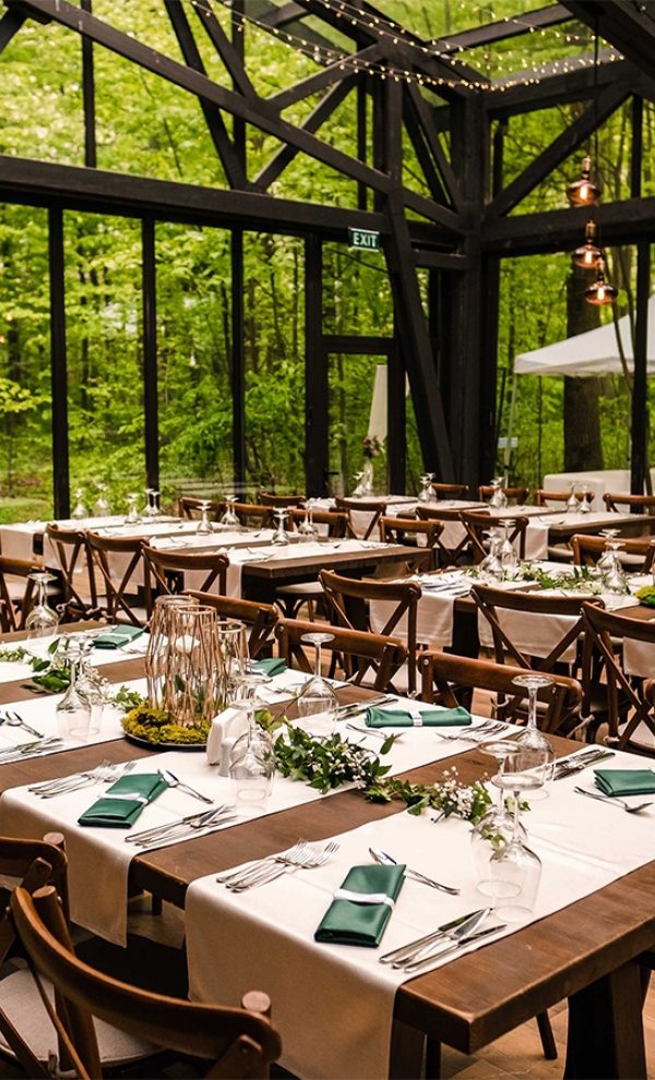 petrecere in aer liber