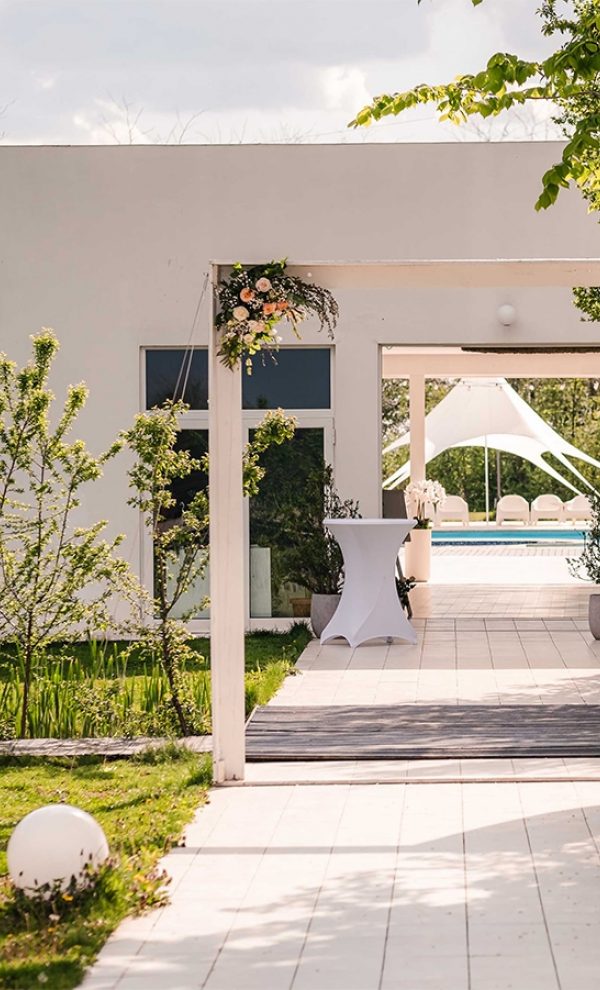 petrecere in aer liber