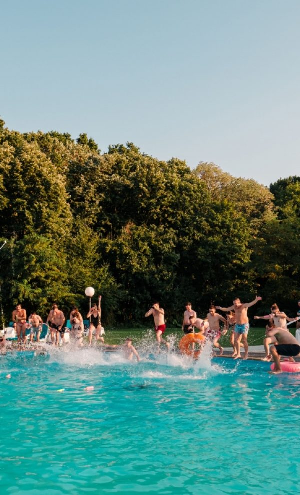 petrecere companie aer liber