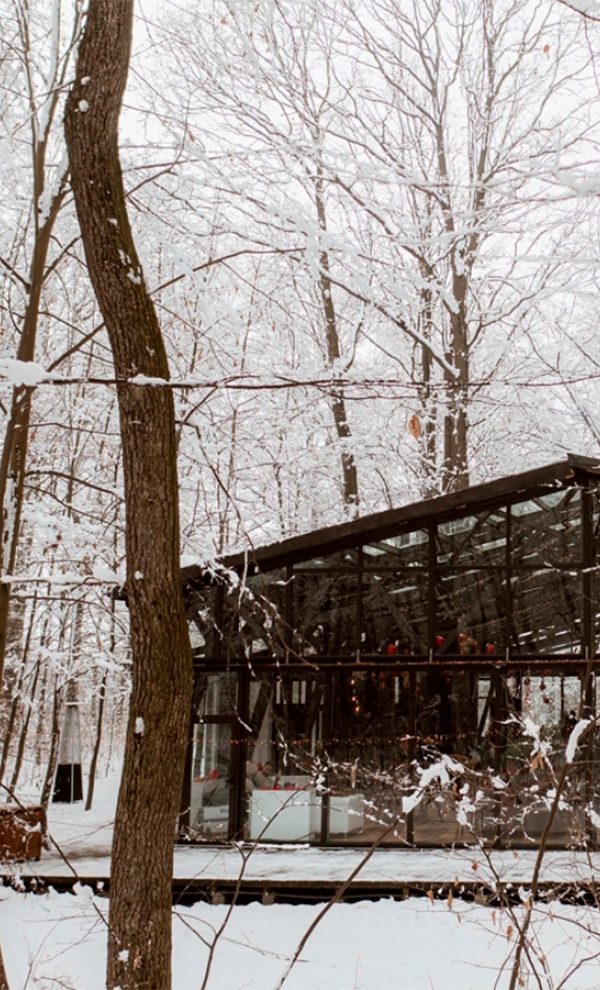Locatiile TreeHouse - locatii de evenimente in aer liber 